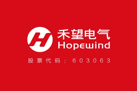 禾望电气上市公司