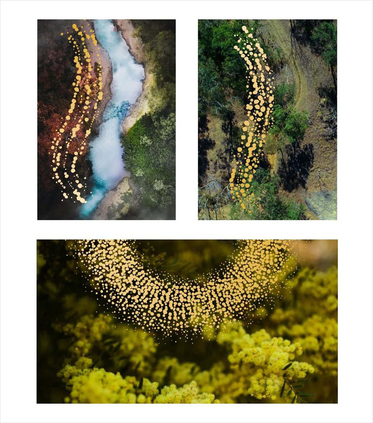 ff1dbb0a3e67e6090ae088ad22ff8fc1.jpg ff1dbb0a3e67e6090ae088ad22ff8fc1.jpg